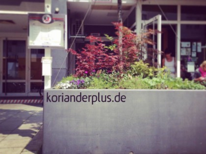 Photo: Koriander